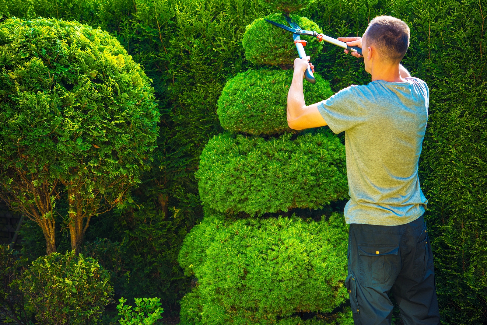 Landscape Maintenance Services in Dayton, OH Landscaping for Radnor, PA